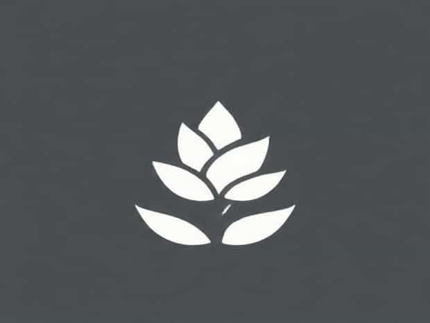 How To Propagate Succulent Leaves