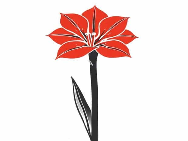 How To Treat Red Blotch On Amaryllis