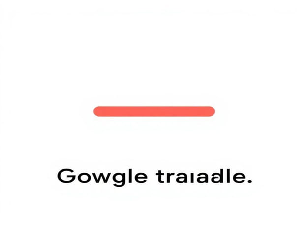 How To Use Google Translate