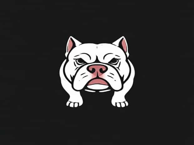 Is An American Bully An Xl Bully