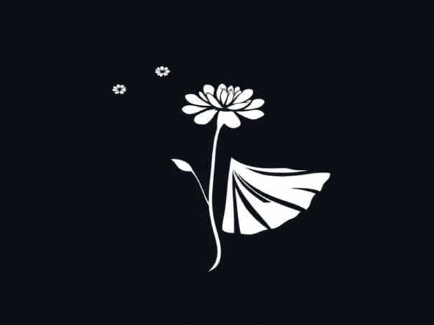 Is Carnation A Dance