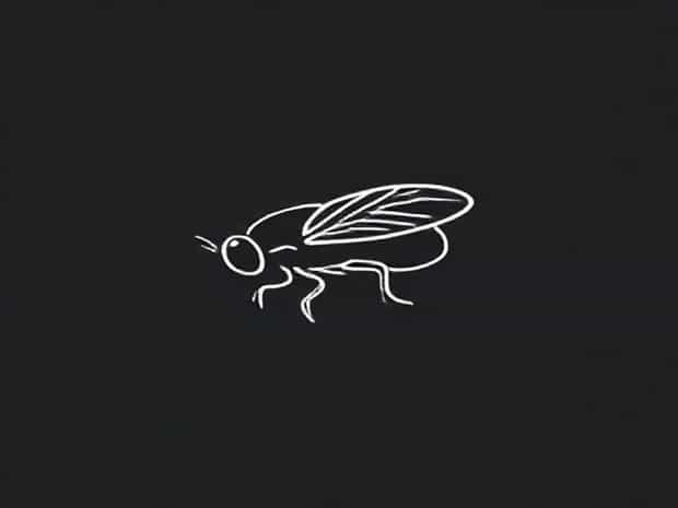 Is It A Flea Bite?