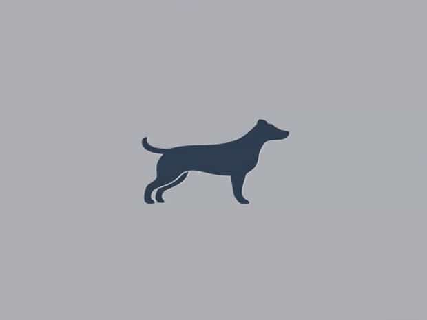 Is Spurn Point Dog Friendly