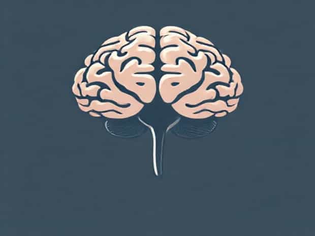Is The Basal Ganglia In The Cerebellum?