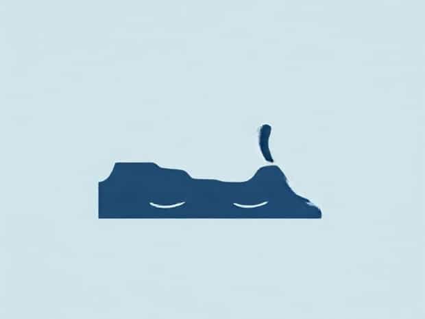 Is The Suez Canal Blocked