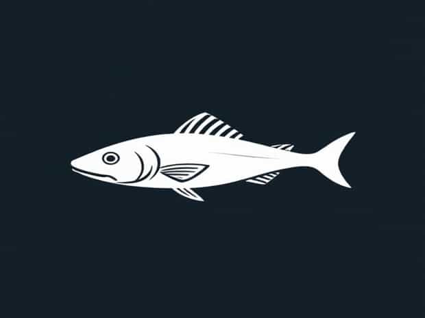 Jawless Fish Eel Like