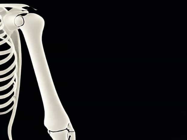Joint Between Humerus And Ulna