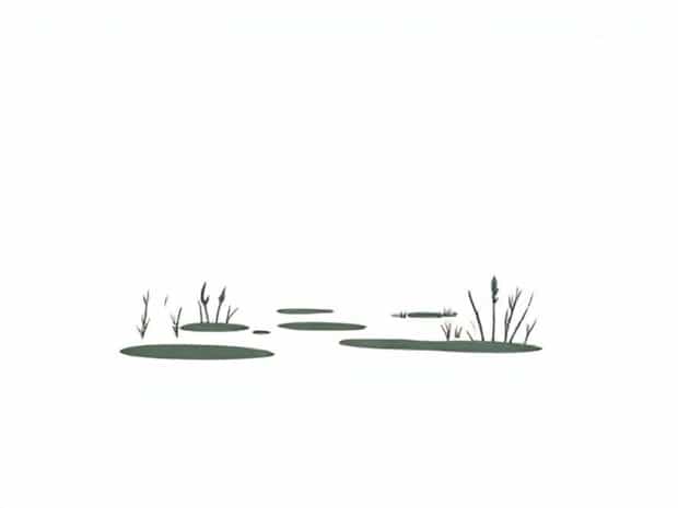 King County Wetland Delineation