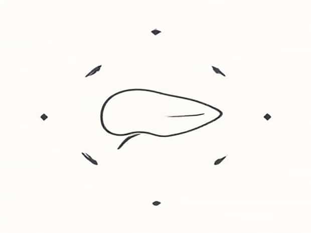 Liver Fluke Life Cycle