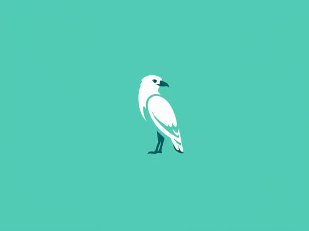 Cubierta Para Skua 150 Trasera