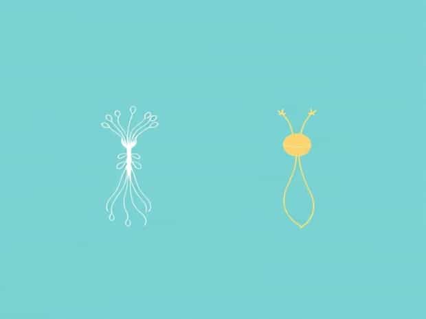 Difference Between Filamentous And Flagellated