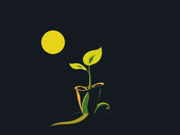 Does A Venus Flytrap Need Sunlight