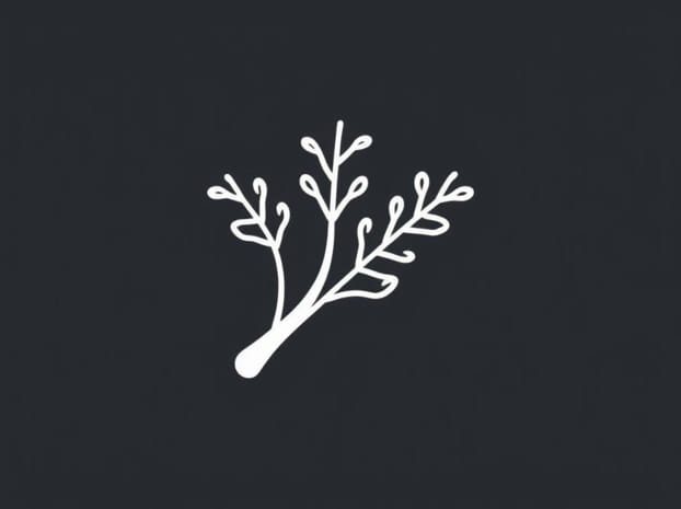 Does Fennel Have Xylitol