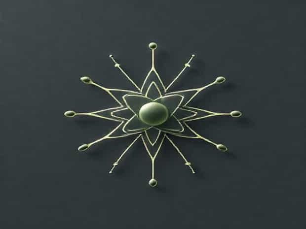 Final Electron Acceptor In Photosynthesis