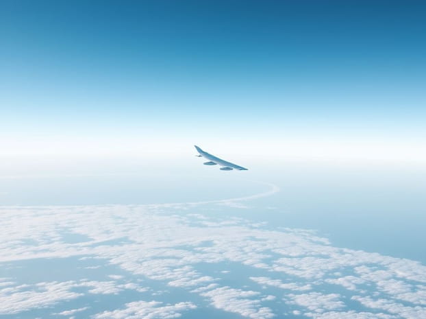 Flight Status Calm Air