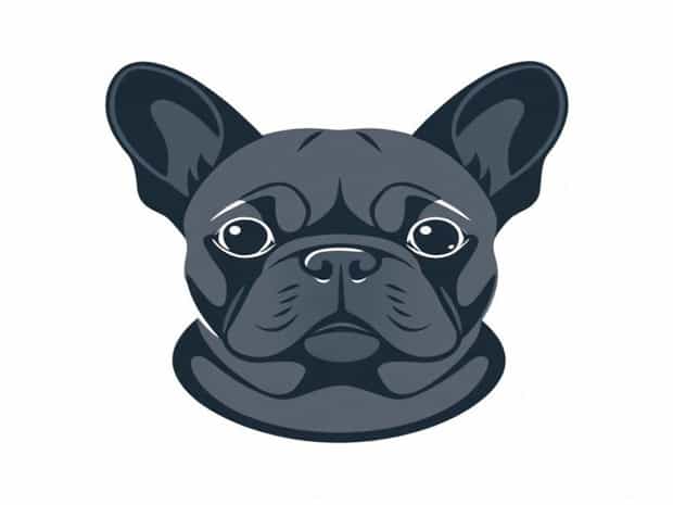 Freezable French Bulldog Adoption Near Me