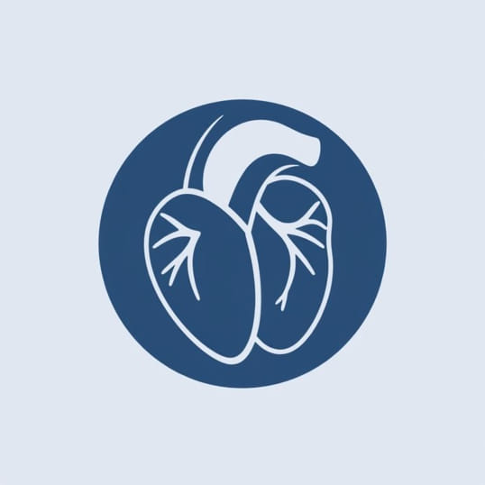 Function Of Bicuspid Valve
