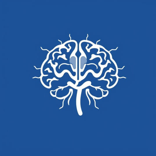 Function Of Olfactory Cortex