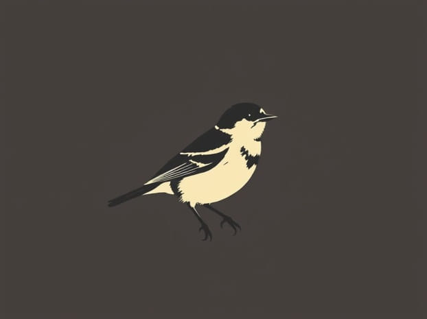 Fungsi Paruh Burung Pipit