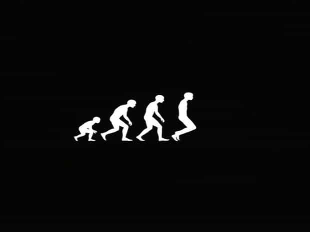 Give An Example Of Convergent Evolution