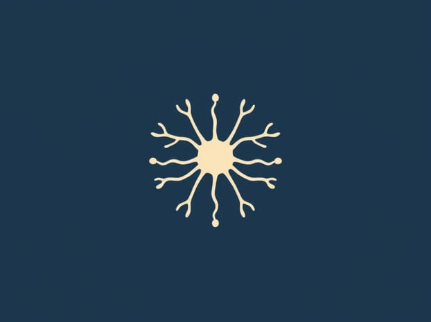 How Big Is A Neuron