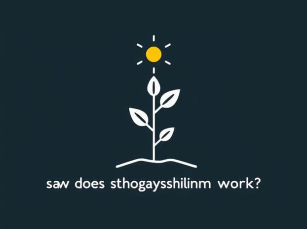 How Does Photosynthesis Work?