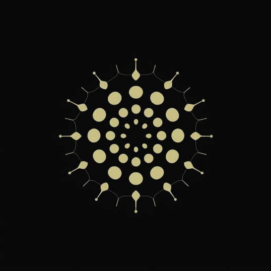 How Many Cells Does A Diatom Have