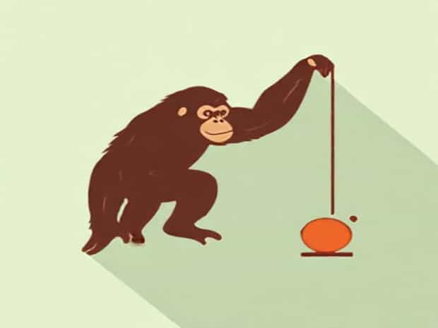 How Much Does An Orangutan Weigh
