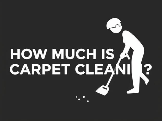 How Much Is A Carpet Cleaner Rental