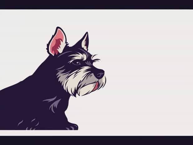 I Hate My Miniature Schnauzer