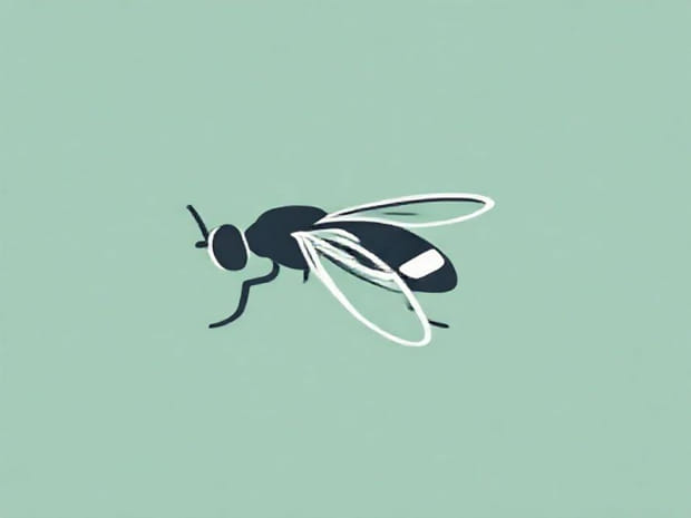 Image Of Tsetse Fly