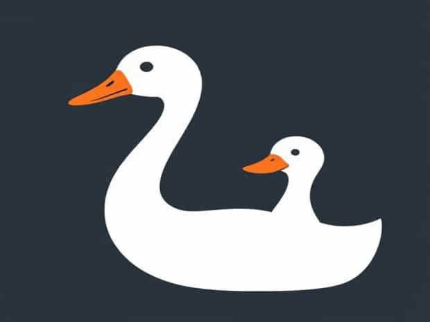 Is A Goose A Duck