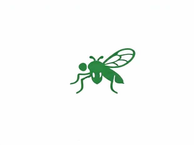 Is A Greenfly A Primary Consumer