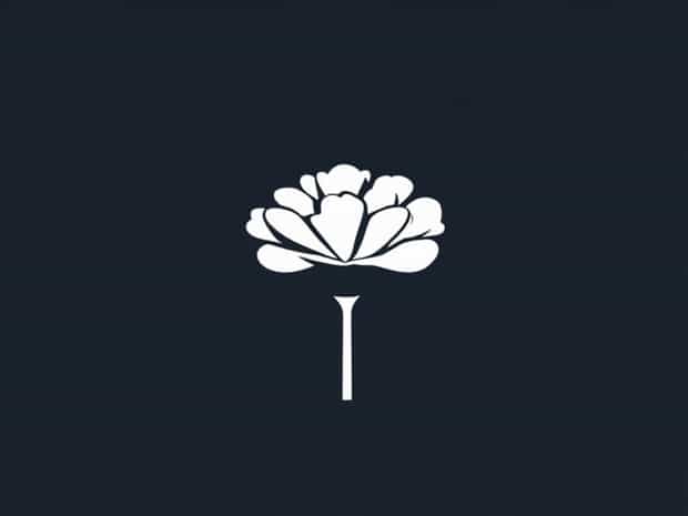 Is Carnation A Flower