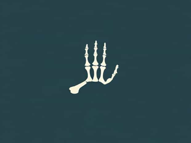 Is The Metacarpal A Long Bone?