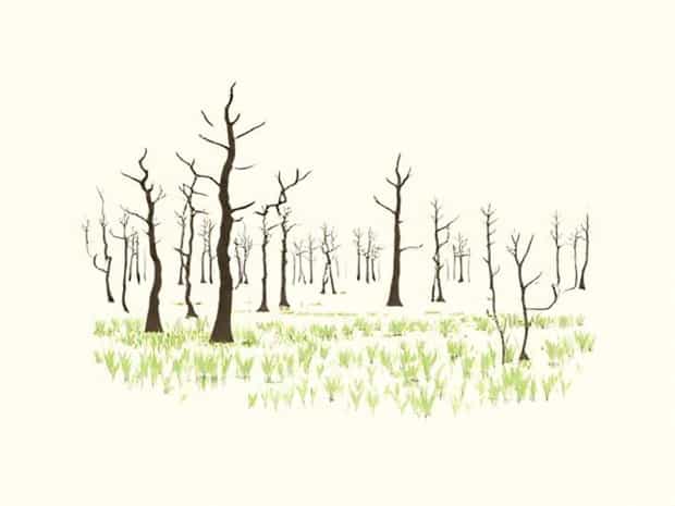 Jones Swamp Wetland Preserve