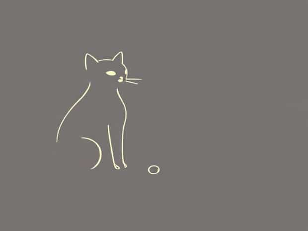 Kooks Catted Connection Pipes