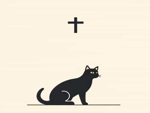 Lost Pets Of St Tammany