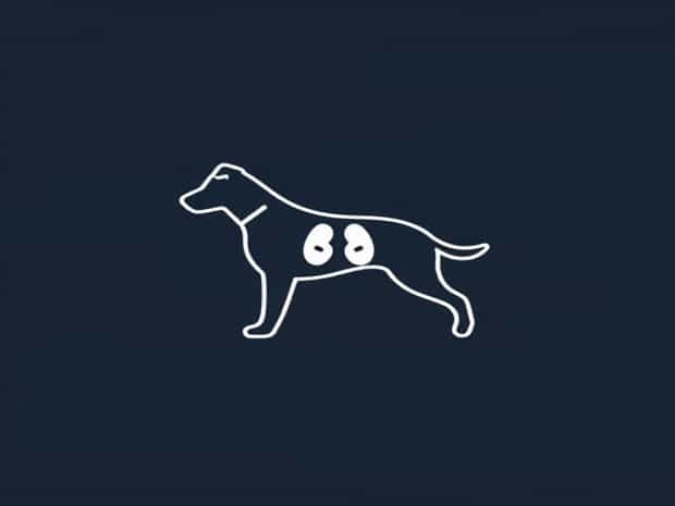 Lung Cancer In Dogs When To Euthanize