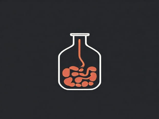 Chemical Digestions Begins In The