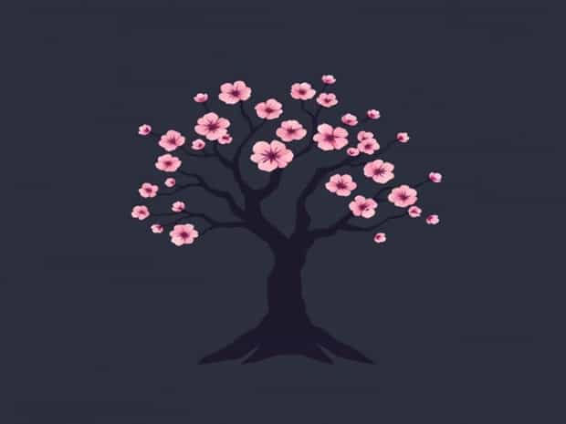 Cherry Blossom Tree Stumpy