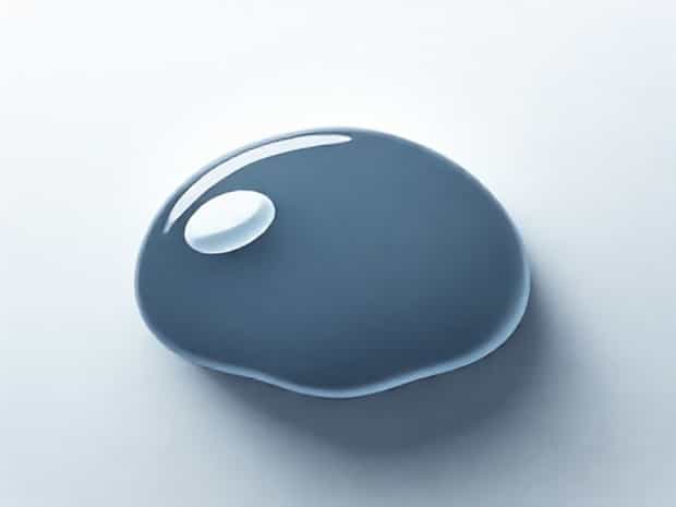 Consists Of A Jellylike Substance