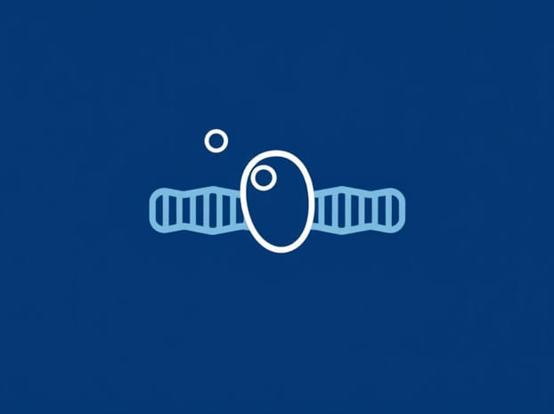 Does Cholesterol Affect Membrane Fluidity