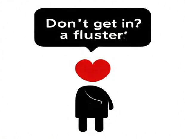 Don?T Get In A Fluster Meaning