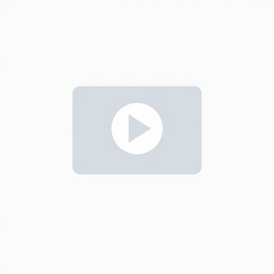 Download Video No Copyright