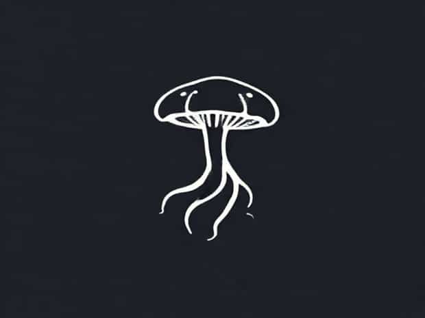 Escherichia Coli C'Est Quoi