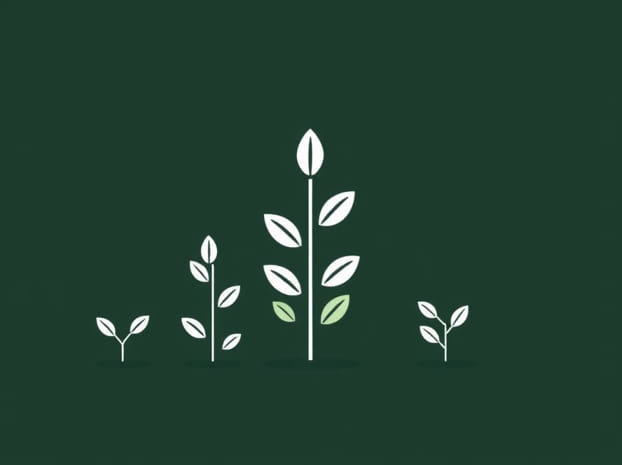 Examples Of Vegetative Propagation