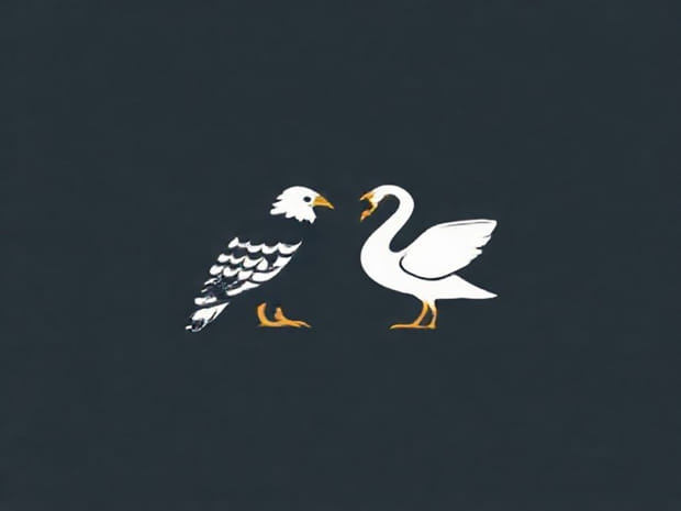 Fagadau Hawk And Swanson