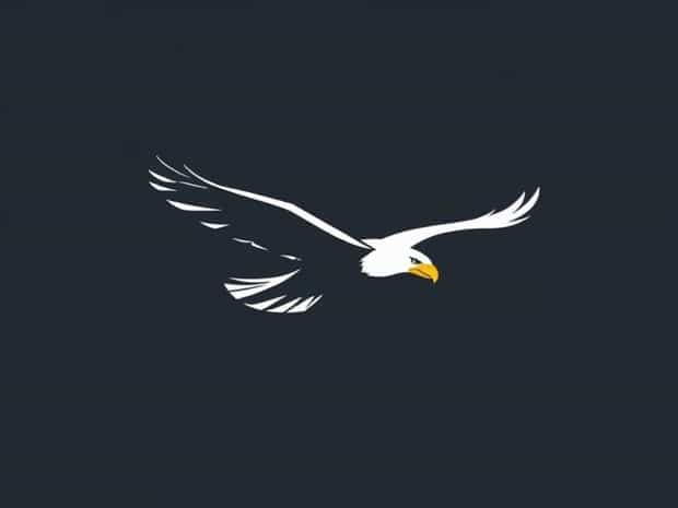 Fly Like An Eagle