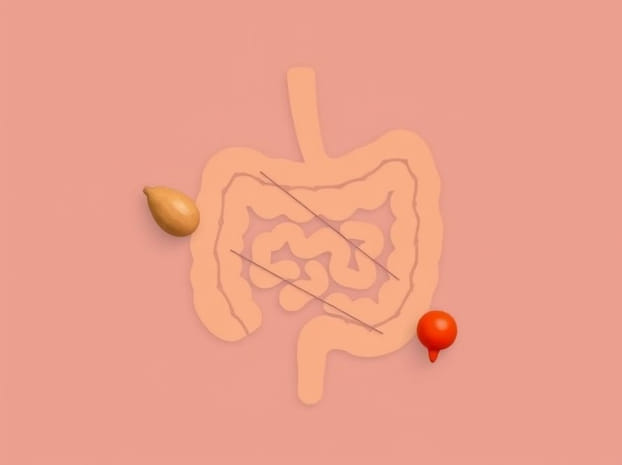 Foods That Reduce Intestinal Inflammation